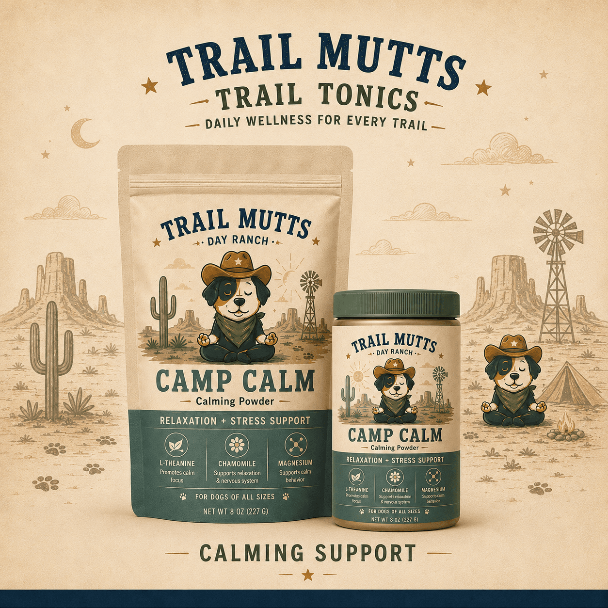Camp Calm concept packaging — a jar and a stand-up pouch carrying a “Relaxation + Stress Support” band above L-theanine, chamomile and magnesium ingredient icons with function lines beneath each.